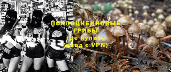 тгк Каменка