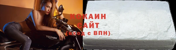 тгк Каменка