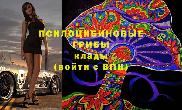 тгк Каменка
