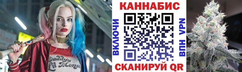 где найти   Кологрив  Бошки Шишки ГИДРОПОН 